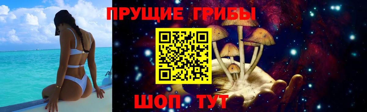 Заволжье  Галлюциногенные грибы мухоморы  Вход с VPN 
